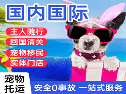 锦州航空物流国际宠物托运 【国